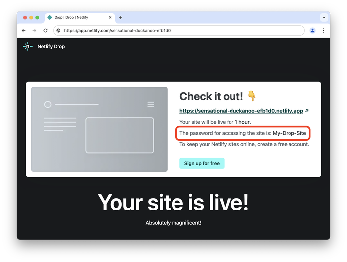 Our example website created with Netlify drop